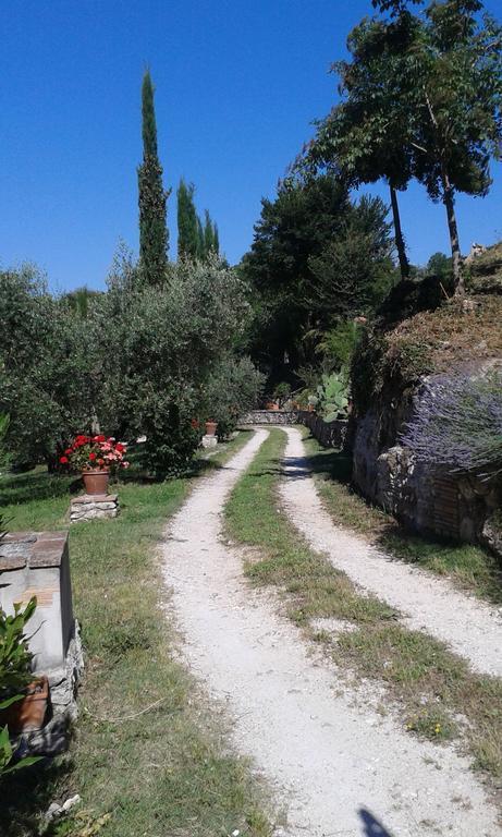 L'Antica Mola Villa Castel Madama ห้อง รูปภาพ